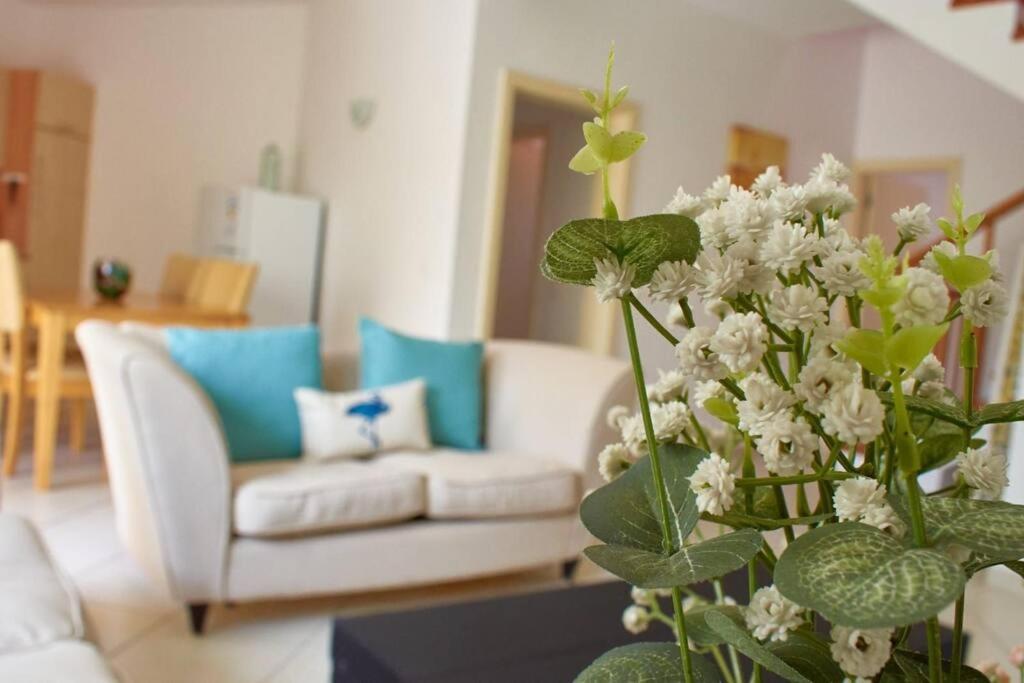 Apartamento T3 Encantador Com Piscina Wifi E Perto De Praia サンタ・マリア エクステリア 写真